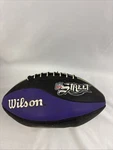 Wilson Nfl Street Football Purple Colorway Gamecube Xbox 2004 Promo Rare. Fixed Price $35.19.