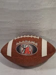 Alabama Crimson Tide Football Gamemaster Officially Licensed Ncaa Big Logo. Fixed Price $24.99.