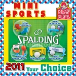 Wendy's 2011 Spalding Miniature Sport Skill Football Your Toy Choice. Fixed Price $6.00.