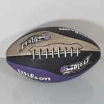 Wilson Nfl Street Football Purple Colorway Gamecube Xbox 2004 Promo Rare. Fixed Price $49.99.