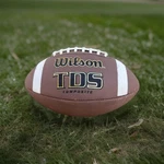 Wilson F1715 Tds Composite Official High School Size Football Game Nfhs. Fixed Price $19.99.