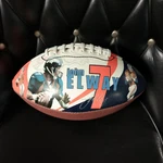John Elway Denver Broncos Hall Nfl Wilson Football With Hof Career Stats.. Fixed Price $12.00.