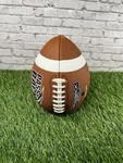 Passback Junior Composite Football, Ages 9-13, Youth Training. Fixed Price $12.80.