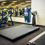 Rogers Athletics Lev Indoor Sled Station. Fixed Price $1399.00.