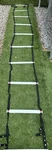 Agility Ladder 15 Foot Core Performance With Carry Bag No Dvd Original Box. Fixed Price $30.00.