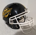Pittsburgh Passion Schutt Dna Football Helmet Black Adult Size Large Nwfa Pro. Fixed Price $249.99.
