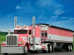 1/64 Dcp Peterbilt 389 W/ 63" Flat Top Sleeper & Wilson Grain Trailer. Fixed Price $139.99.