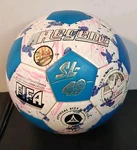 Vintage Regent SL-49 Fifa Splash Power Soccer 1991 Size 5 Football. Fixed Price $30.48.