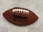 Wilson Nfl National Football League Youth Size - Dream Big Play. Fixed Price $19.99.