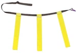 Champion Sports Triple Flag Football Belts Pack Of 12 Adjustable Xl Adult. Fixed Price $56.89.