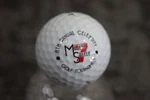8TH Mickey Steele Tournament Open Country Club Course Links Logo Golf Ball. Fixed Price $5.63.