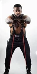 The Total Resistance Trainer Set Bands Harness Carry Bag Arms Legs. Fixed Price $48.99.