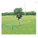 High Step Agility Trainer. Fixed Price $250.35.