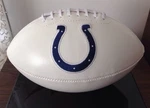 Nfl Signature Series Full Size Rawlings Football Indianapolis Colts. Fixed Price $34.99.