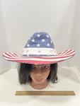 Wembley American Flag Patriotic 4TH Of July Stars And Stripes Cowboy Hat. Fixed Price $9.99.