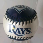 Tampa Bay Souvenir Baseball By Franklin. Fixed Price $6.99.