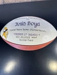 Wilson The Duke Nfl Minnesota Vikings Official Team Football New. Fixed Price $240.00.