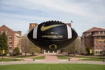 Nike Vapor Elite Fully Prepped Game Ready Football! -oregon Ducks. Fixed Price $169.99.