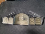 Fantasy Football Championship Title Belt Wrestling Wwe Mancave Trophy. Fixed Price $75.00.