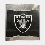 Nfl Las Vegas/los Angeles/oakland Raiders Reusable Shopping Tote 14"X13.5"X7.5". Fixed Price $9.99.