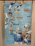 Vintage 90S Nfl Football Pillow Case (1) Over Graphic Sport Bibb Company Usa. Fixed Price $26.99.
