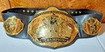 Fantasy Football Championship Belt By Undisputed. Fixed Price $82.00.
