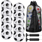 13 Pcs Soccer Ball Bulk 10 Official Size 5 With 2 Pump And Ca.... Fixed Price $100.22.