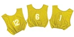 Champion Dozen Youth All Sport W/ Numbers 1-12 Pinnies Scrimmage Vests 4 Colors. Fixed Price $44.99.