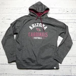 Arizona Cardinals Hoodie Mens Xl Gray Nfl Football Fanatics Pro Line Fleece. Fixed Price $23.96.