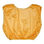 Champion Sports - Practice Scrimmage Vest. Fixed Price $9.99.