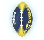 Michigan Wolverines Youth Size 2-TONE Franklin Football Free Shipping. Fixed Price $11.00.