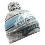 Philadelphia Eagles 2019 Forever Collectibles Nfl Gray Light Up Beanie Free Ship. Fixed Price $29.99.