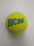 University Logo Tennis Ball Brand New National Junior College Championship Njcaa. Fixed Price $7.00.