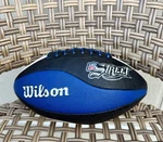 Wilson Nfl Street Promo Football Colorway Blue Black White Ea Sports. Fixed Price $22.00.