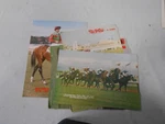 #T8. #9. Ten 1(0) Mid 1970S Australian Horse Racing Pinups. Fixed Price $35.82.