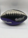Nfl Street Wilson Football Purple Video Promo PS2 Gamecube Xbox Ea Sports. Fixed Price $29.24.