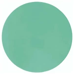 Champion Poly Spot Marker - Green. Fixed Price $9.99.