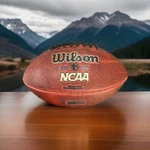 Wilson Ncaa Silver Series Junior Size Football Age 9+. Fixed Price $9.99.
