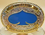 Belt Buckle Sprint Cap Gemini Ideas People Technology Kcbs Rvi Team Blue Spade. Fixed Price $24.99.