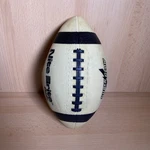 Baden Sports Nite Brite Jr. Football Glow In The Dark - See Condition. Fixed Price $23.89.
