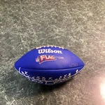 Wilson Nfl Play 60 Blue Flag Football Peewee Ages 6-9 Kids WTF1523 Hks. Fixed Price $24.95.