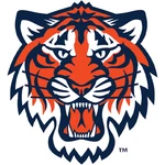 Detroit Tigers Logo Vinyl Decal Sticker Car Window Laptop Bumper. Fixed Price $15.65.