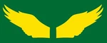Philadelphia Eagles Yellow Wings Full Size Football Helmet Decals 20 Mil 3M. Fixed Price $29.99.