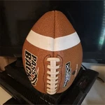 Passback Official Size Football Passing Training Aid Brown/white/black. Fixed Price $15.00.