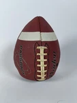 Baden Back Sports Junior Composite Training Football Passing & Receiving. Fixed Price $19.99.