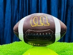 Wilson Gst Style Football Full Size Brown Composite Leather A+ Quality Training. Fixed Price $45.00.