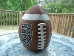 Passback Football Official Size Composite High School Training Aid. Fixed Price $6.75.