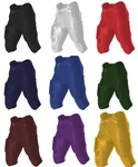 Alleson Athletic Integrated Youth Boys Dazzle Game Football Pants W/ Pads 688DY. Fixed Price $12.99.