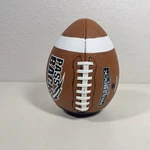 Passback Sports Junior Size Football Training Rebound Aid Brown Black. Fixed Price $19.99.