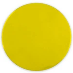 Champion Sports Poly Circle Spot Marker. Fixed Price $7.99.